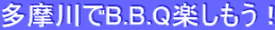 �������B.B.Q�y�������I