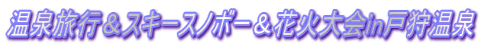 ���򗷍s���X�L�[�X�m�{�[���ԉΑ��in�ˎ뉷��