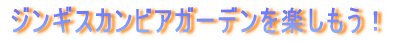 �_�[�c���r�����[�h���y�������I