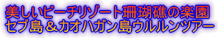 �������r�[�`���]�[�g�X��ʂ̊y�� �Z�u�����J�I�n�K�����E�������c�A�[