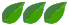 leaf_253