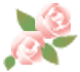 バラ
