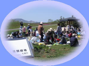 Ԍʐ^