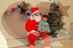 クリスマス写真