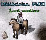ȎɂȂ܂i΁j