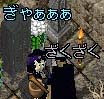 ܂Ȕ̌