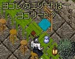 VIVA!G[g錾I