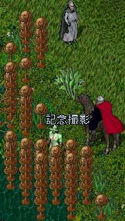 ����͉��H�i�΁j