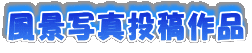 ���i�ʐ^���e��i 