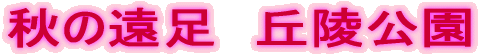 �H�̉����@�u�ˌ��� 