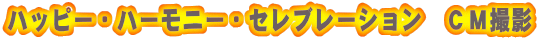 �n�b�s�[�E�n�[���j�[�E�Z���u���[�V�����@�b�l�B�e